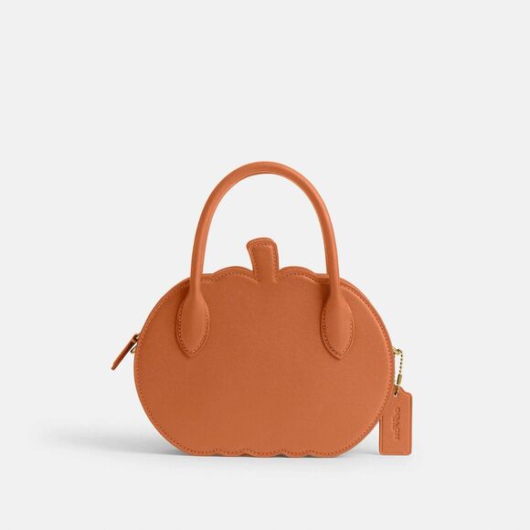 Coach Pumpkin Runway CU868 Orange Leather Fall Autumn Halloween Purse NWT -HTF - Picture 1 of 11